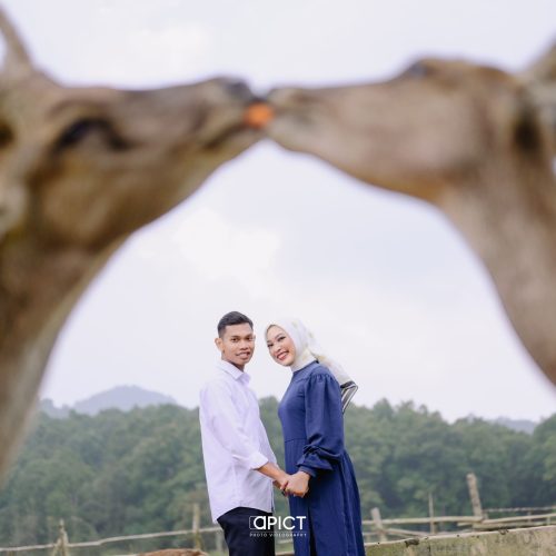 GALLERY NOVIA-ANDRE24