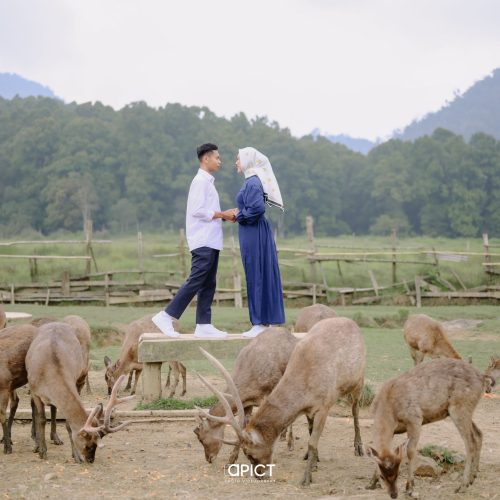 GALLERY NOVIA-ANDRE26
