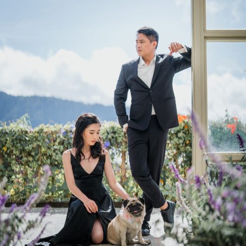 GIFT stephen queenice