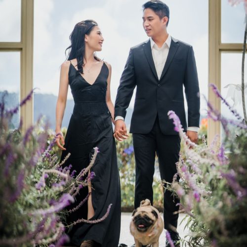 HEADER stephen queenice