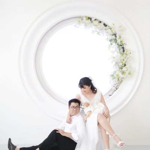 Replace - CV8A9535 e R2_1