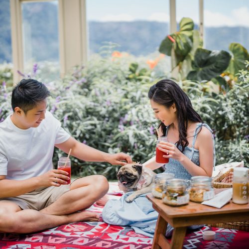 SAVE THE DATE stephen queenice