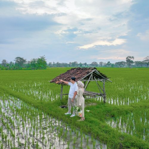 egita satrio header (1)