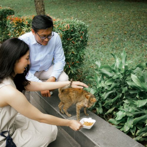 galeri dinda olan (4)