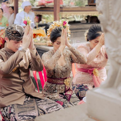 gallery dave zalsa (8)