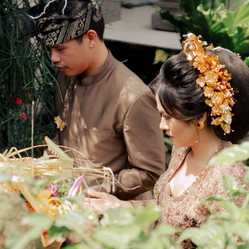 gallery dave zalsa (9)