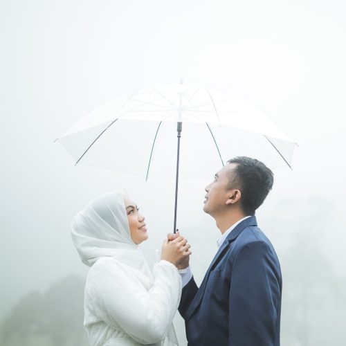 gallery yeni hari (4)