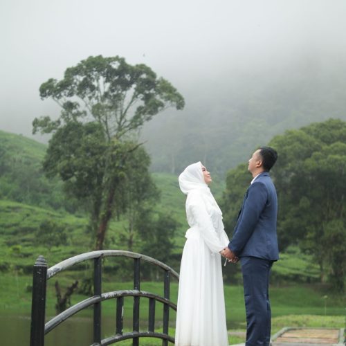 gallery yeni hari (6)