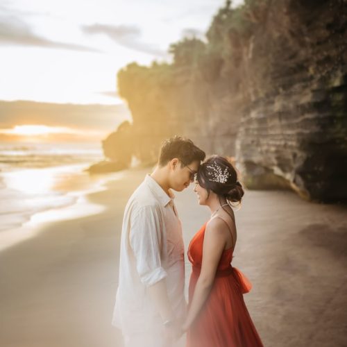 header dave zalsa (1)