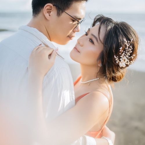 header dave zalsa (2)