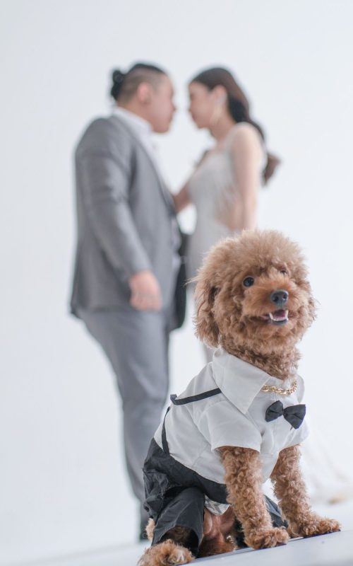 nando rika gallery (3)