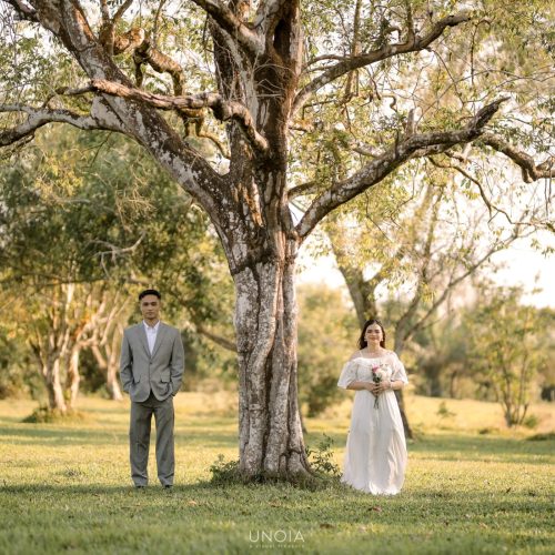 panus poe galeri (2)