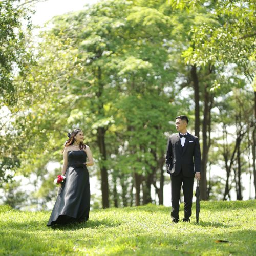 panus poe galeri (4)