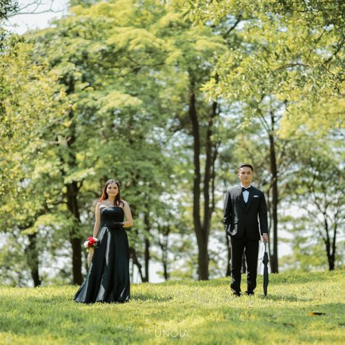 panus poe galeri (5)