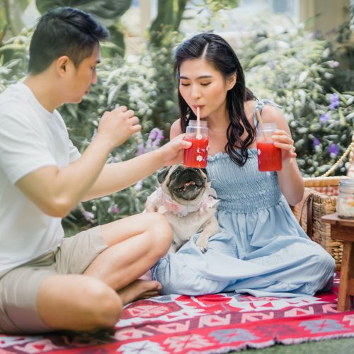 stephen queenice (4)