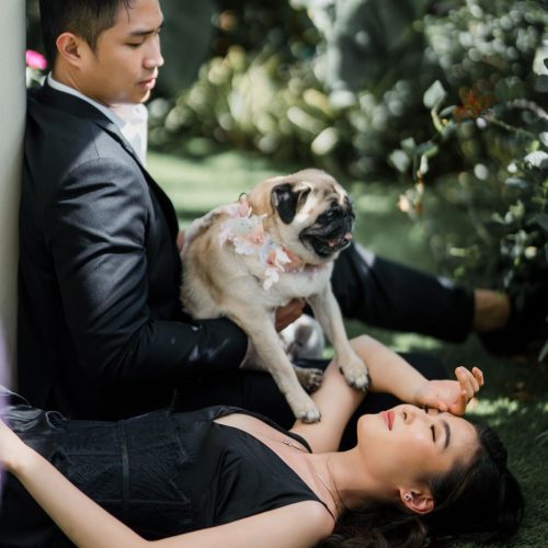 stephen queenice (5)